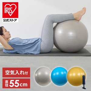 バランスボール55cm 23-187 全3色 バランスボール フィットネス ダイエット 健康器具 体幹トレーニング エクササイズ ストレッチ トレー