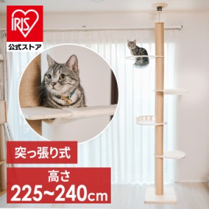 キャットタワー キャットハウス つっぱり式 突張式アスレチックタワー ハンモック 1011106003 爪とぎ 多頭飼い 省スペース ハンモック付