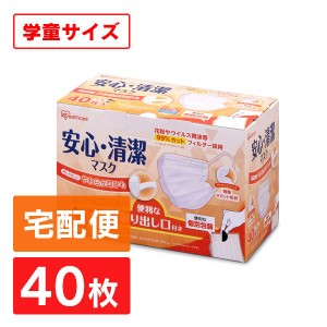 ★13日24h限定全品P5倍★マスク 不織布 学童サイズ 40枚入 宅配便 安心 清潔マスク 使い捨てマスク 使い捨て こども 子供 子ども 19PK-AS