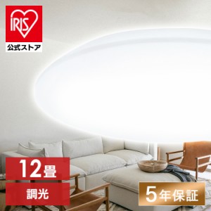 led シーリング ライト 12畳の通販｜au PAY マーケット