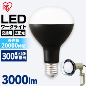 LED電球 投光器用 3000lm LDR25D-H-E39-E LED電球 LEDライト ライト 灯り LED投光器 投光器 作業灯 昼光色 E39 作業現場 工事現場 アイリ