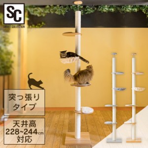 キャットタワー 木登りキャットタワー  KCCT-244 全2色 キャットタワー 猫タワー 突っ張り キャットランド キャットポール 猫ツリー 木製