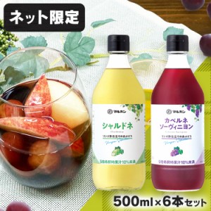 【6本セット】酢 美容 カベルネソーヴィニョン リンゴ酢仕立て 全2種類 飲むお酢 ビネガードリンク  健康 ヘルシー ぶどう