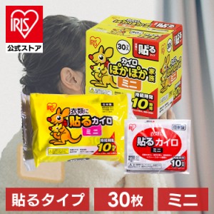  防災 地震対策 防災用品 防災グッズ カイロ ミニサイズ 30個入り 貼るカイロ 暖房 暖かい くつ クツ 通勤 通学 防災 防災用品 避難 避難