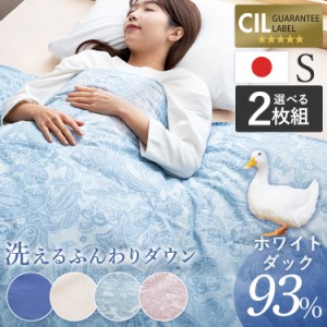 (2枚セット)日本製ダウンケット WDD93%0.2kg 夏布団 夏用掛け布団 [代引不可] シングル 全6色 ダウンケット 掛け布団 掛布団 布団 シング