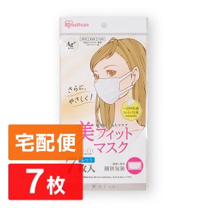 あり アイリス オーヤマ マスク 在庫 100 枚