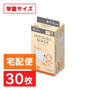 マスク  不織布 こども用 30枚入 使い捨て 子供用 使い捨てマスク アイリスオーヤマ プリーツマスク 子供 こども キッズ 学童 ディスポー