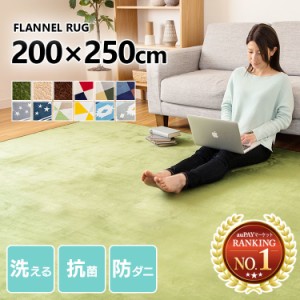 ラグ 3畳 カーペット ラグマット マット 洗える フランネルラグ 3帖 200×250cm FNR-S-2025 ラグマット 洗える おしゃれ カーペット シン