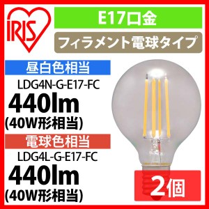 【2個セット】LEDフィラメント電球 ミニボール球 E17 40W相当 440lm 昼白色相当・電球色相当 LDG4N-G-E17-FC・LDG4L-G-E17-FC 全2色 アイ