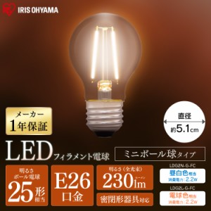 電球 LED電球 E26 25形相当 フィラメント電球 ミニボール球 天井照明  LDG2N-G-FC LDG2L-G-FC アイリスオーヤマ 安心延長保証対象