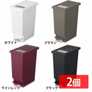 2個セット ユニード プッシュ&ペダル 20S 全4色 プラザセレクト