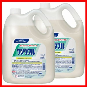 2個セット ワンダフル 4.5kg 業務用 洗剤 食器 植物系 洗浄機 2本セット Kao 前洗い プロフェッショナル 高級アルコール系