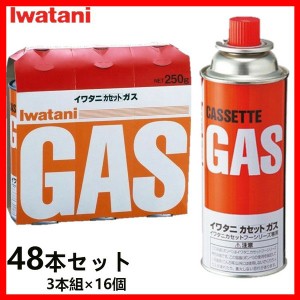 イワタニ (48本)カセットボンベ CB-250OR 岩谷産業 Iwatani カセットボンベ ガス缶 アウトドア キャンプ パーティー 野外 屋外 持ち運び