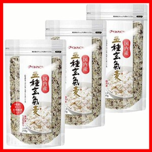 【3袋】国内産 五種玄氣麦 250g（麦5種） ベストアメニティ (メール便)  5種 玄氣米 国内産 麦5種ブレンド 食物繊維 送料無料