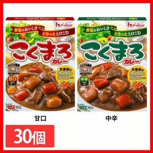 【30個】レトルトこくまろカレー ハウス食品 全2種類 カレー レトルト ハウス 甘口 送料無料