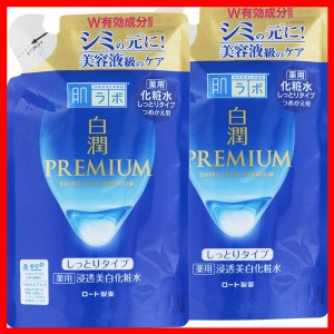 2個セット 肌ラボ 白潤プレミアム 薬用浸透美白化粧水 しっとり詰替え用 170ml スキン フェイス 研究 ビューティ コスメ トラブル 解消 