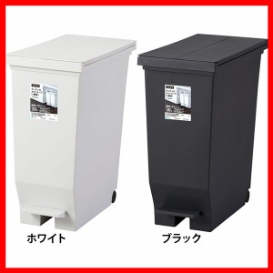 ゴミ箱 インテリア ダストボックス エバン両開きペダルペール30L A6303 全2色 カウンター下 棚下 ペダルペール ゴミ箱 屋内ペール デッド