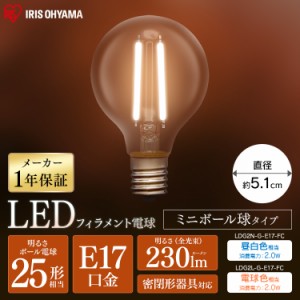 電球 LED電球 LEDフィラメント電球 ミニボール球 E17 25W相当 230lm 昼白色相当・電球色相当 LDG2N-G-E17-FC・LDG2L-G-E17-FC 全2色 アイ