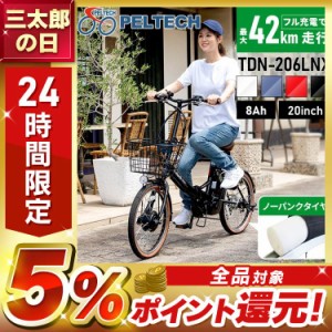 イオン オリジナル 電動 自転車の通販｜au PAY マーケット