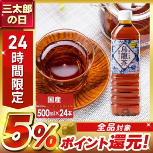 烏龍茶 500ml 【24本】アイリス烏龍茶500ml アイリスオーヤマ 烏龍茶 お茶 アイリス アイリスフーズ 安定のおいしさ 安い まとめ買い 【