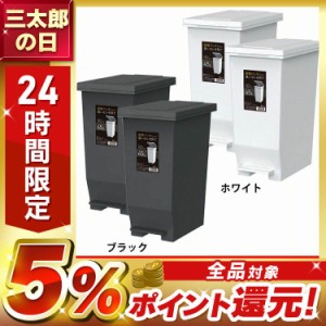 台所 【2個】エバン密閉ペダルペール45L アスベル 全2色 台所 ペール ゴミ箱 パッキン付 密閉 ペダル 防臭 45L 送料無料