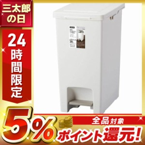 ゴミ箱 インテリア ダストボックス エバン ペダルペール30L ホワイト A6002 ペダルペール ゴミ箱 屋内ペール 手が触れない ダストボック