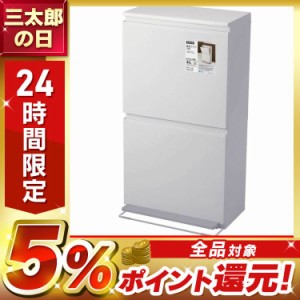 ゴミ箱 インテリア ダストボックス 分別ペダル2段ワイド40L ホワイト A6604 ゴミ箱 屋内ペール キッチン ダストボックス 2段 薄型 スタイ