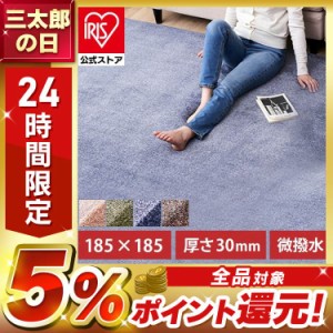 ラグ 2畳 ラグマット 185×185 2畳 2帖 カーペット マット ラグマット 厚手 厚さ3cm 極厚ウレタン マイクロファイバー 微はっ水加工 防音