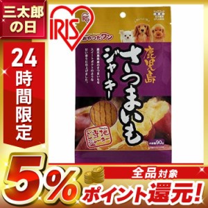 鹿児島さつまいもジャーキー 90g GTJ-90S