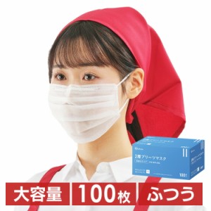 マスク 不織布 通気性 100枚入り 痛くなりにくい 白 大容量 普通サイズ ふつう 使い捨て プリーツ 2層 二層構造 飛沫防止 2層プリーツマ