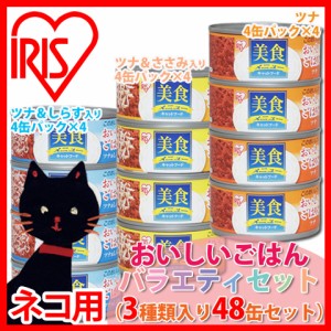 ≪計48缶セット≫美食メニューおいしいごはん[バラエティセット] 【アイリスプラザ限定】[猫・ネコ・キャットフード]