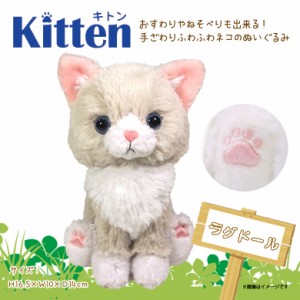 ぬいぐるみ 猫 キトン ラグドール Kitten【P1352】お座り ねそべり ぷっくり肉球 サンレモン