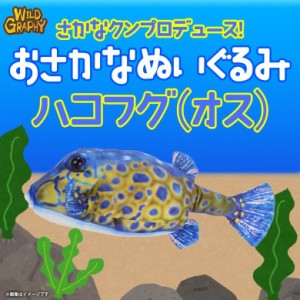 ぬいぐるみ 魚 ハコフグ オス さかなくんプロデュース 【SK002】おさかなぬいぐるみ 海の生き物 リアル ブルー 太洋産業貿易