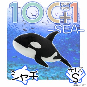 ぬいぐるみ シャチ クジラ くじら SM111【0806】100+1 SEA 海に暮らす生き物たち 哺乳類 魚 Sサイズ 太洋産業貿易