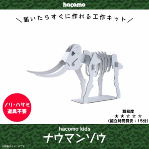 ペーパークラフト 工作キット ダンボール 段ボール 小学生 キッズ 【1927】 hacomo kids 恐竜シリーズ 立体パズル クラフト 簡単組立 色