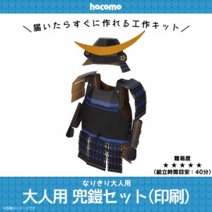 工作キット ダンボール 段ボール 伊達政宗 大人用 【4676】なりきりシリーズ 兜 かぶと 甲冑 かっちゅう セット 戦国武将 コスプレ 変身 