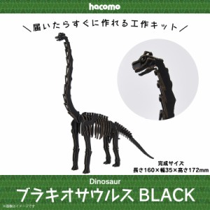 工作キット ダンボール 段ボール 小学生 キッズ 【4935】ブラキオサウルス Dinosaur 恐竜 ダイナソー 骨格 標本 立体 クラフト 簡単組立 