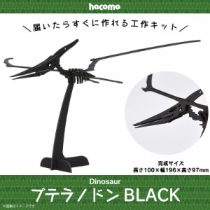 工作キット ダンボール 段ボール 小学生 キッズ 【4959】プテラノドン Dinosaur 恐竜 ダイナソー 骨格 標本 立体 クラフト 簡単組立 ブラ