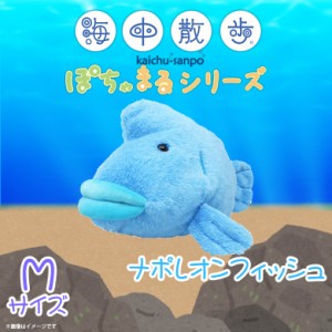 ぬいぐるみ 魚 ナポレオンフィッシュ ぽちゃまる AKAITYUPOTYAM-NAPR【7236】海中散歩 ふわふわ 水族館 Mサイズ 内藤デザイン