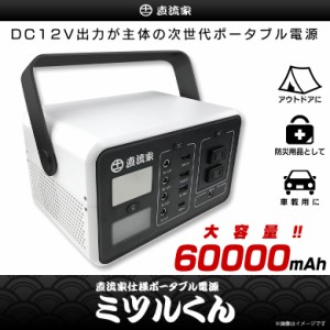 モバイル バッテリー 60000mahの通販｜au PAY マーケット