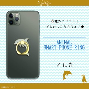 スマホリング かわいい アニマル 海の生き物 イルカ Z0605/SR【6287】アクアチック 水族館 魚 マルチリング iPhone android スマートリン