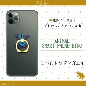 スマホリング かわいい アニマル 動物 コバルトヤドクガエル Z0704/SR【6423】両生類 蛙 カエル 毒ガエル マルチリング iPhone android 