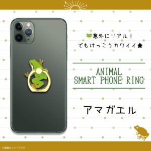 スマホリング かわいい アニマル 動物 アマガエル Z0706/SR【6447】両生類 蛙 カエル 毒ガエル マルチリング iPhone android スマートリ