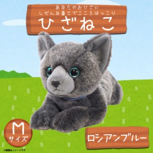 ぬいぐるみ ひざねこ 猫 ロシアンブルー 【P-7652】Mサイズ 柔らかな素材 手触り抜群 サンレモン