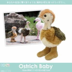 ぬいぐるみ 鳥 ダチョウ 子供 幼鳥 SM250【2084】100+1 SKY アニマル 動物 太洋産業貿易