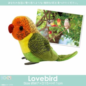 ぬいぐるみ インコ 鳥 ボタンインコ SM146【1155】100+1 SKY アニマル 動物 リアル 太洋産業貿易