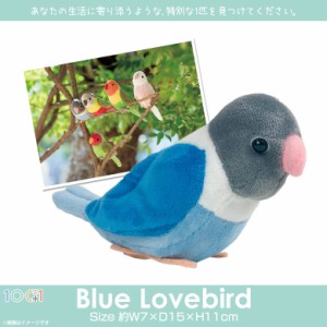 ぬいぐるみ インコ 鳥 ボタンインコ ブルー SM215【1735】100+1 SKY アニマル 動物 リアル 太洋産業貿易