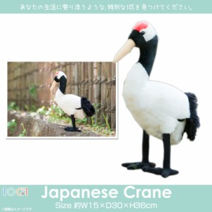 ぬいぐるみ 鳥 タンチョウ タンチョウヅル 鶴 SM226【1841】100+1 SKY アニマル 動物 リアル 太洋産業貿易