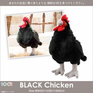 ぬいぐるみ ニワトリ 鶏 鳥 黒 SM258【2169】100+1 BLACK アニマル 動物 ブラック 太洋産業貿易