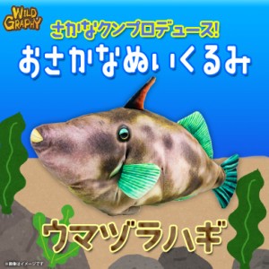 ぬいぐるみ 魚 ウマヅラハギ さかなくんプロデュース SK012【1710】おさかなぬいぐるみ 海の生き物 リアル 太洋産業貿易